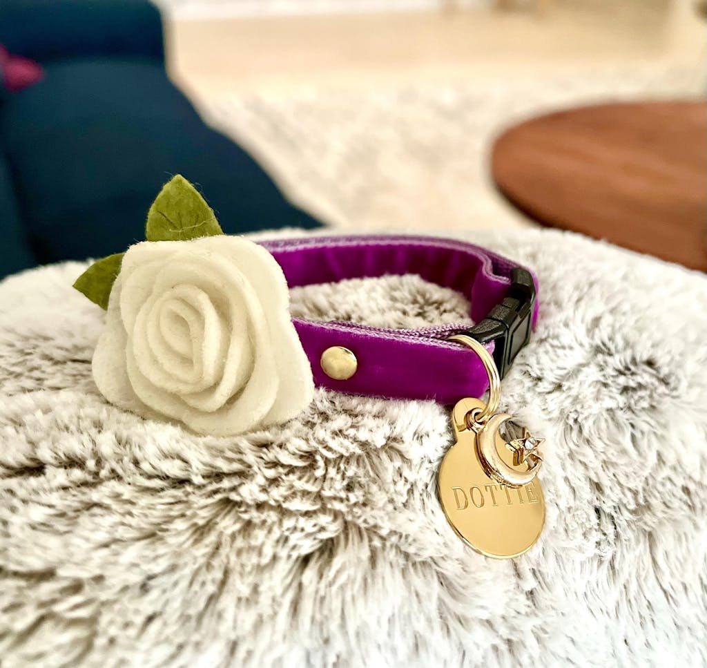 Pet Collar Charms For Cat Collars & Small Dog Collars Made By Cleo