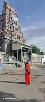 Madras Sarees