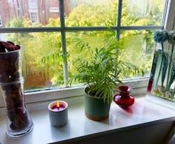 Limited Editon Ceramic | Lavander Royal - Mady Candle Emporium