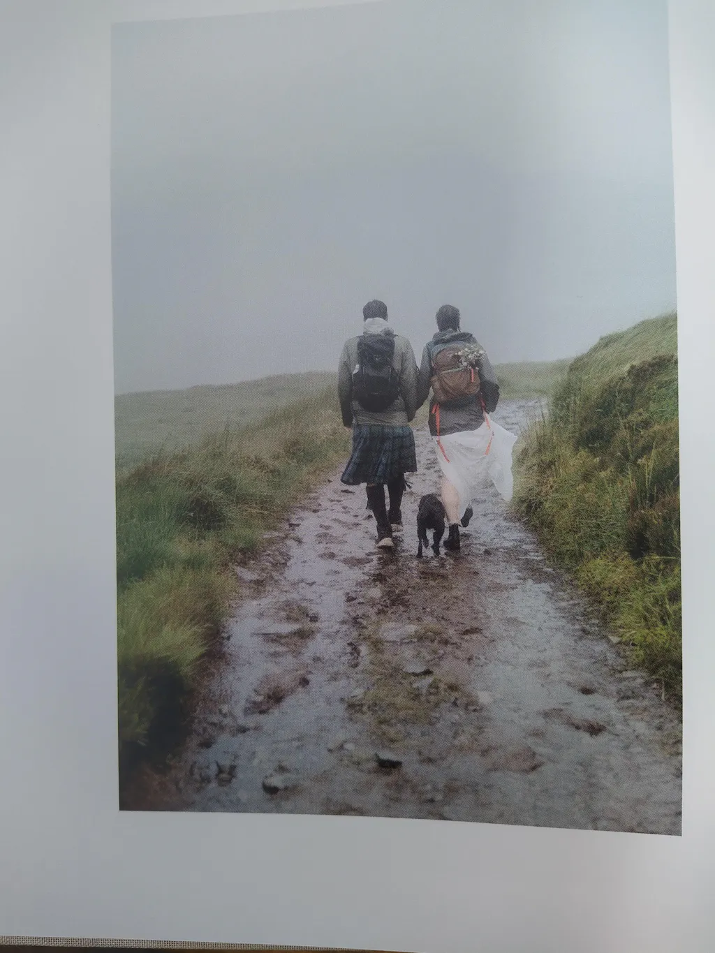 Last Light - Canvas Print