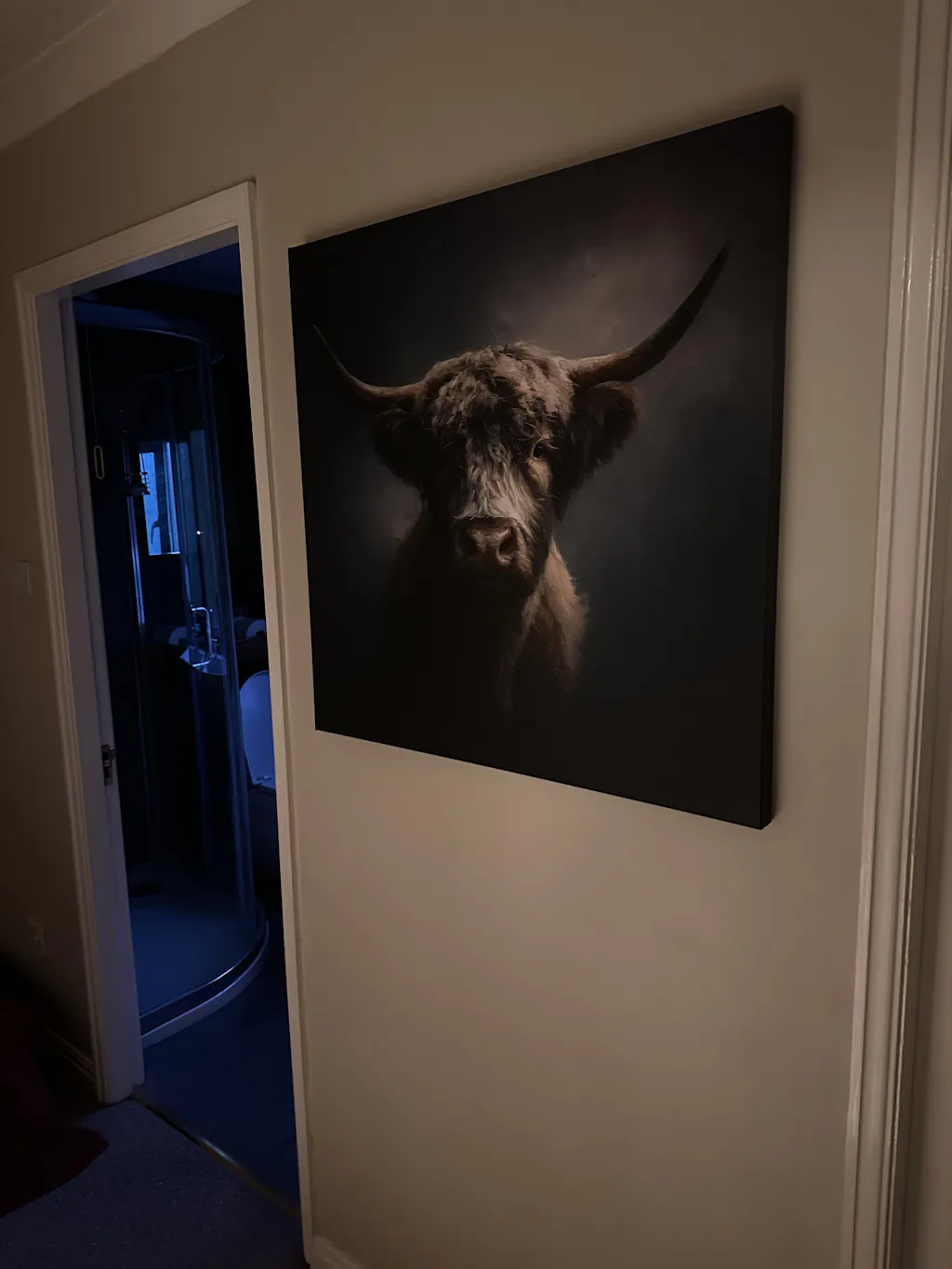 Highland Gaze - Canvas Print