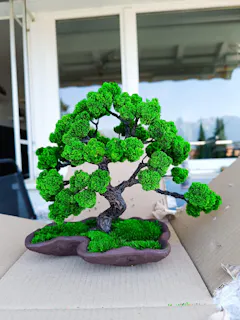 Review picture