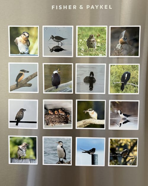 MagnaPix Photo Fridge Magnets (set of 8)