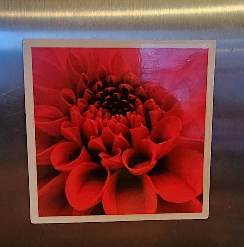MagnaPix Photo Fridge Magnets (set of 8)