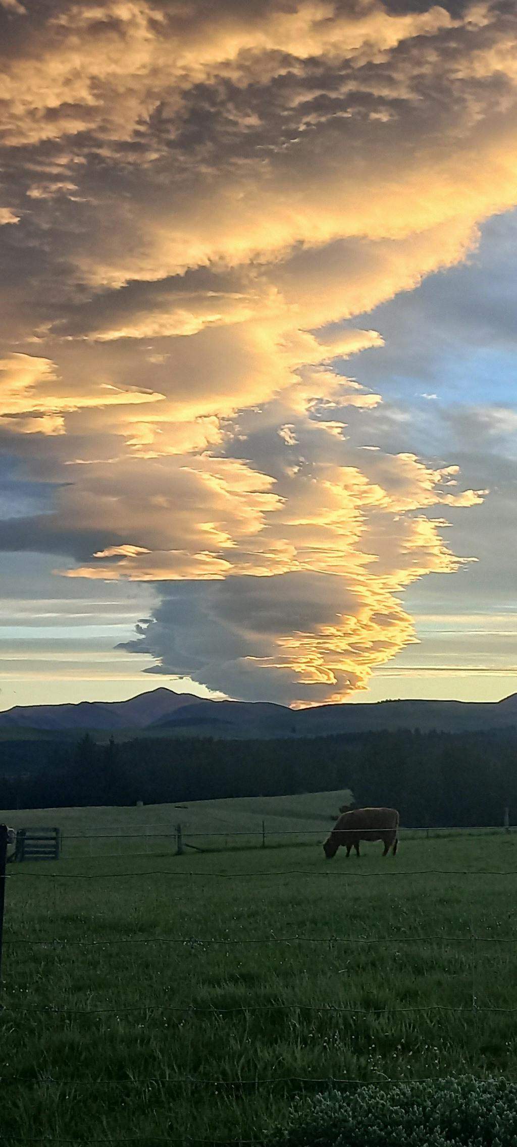 GoGenerosity Pay-it-forward