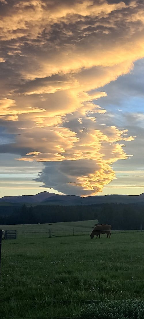 GoGenerosity Pay-it-forward