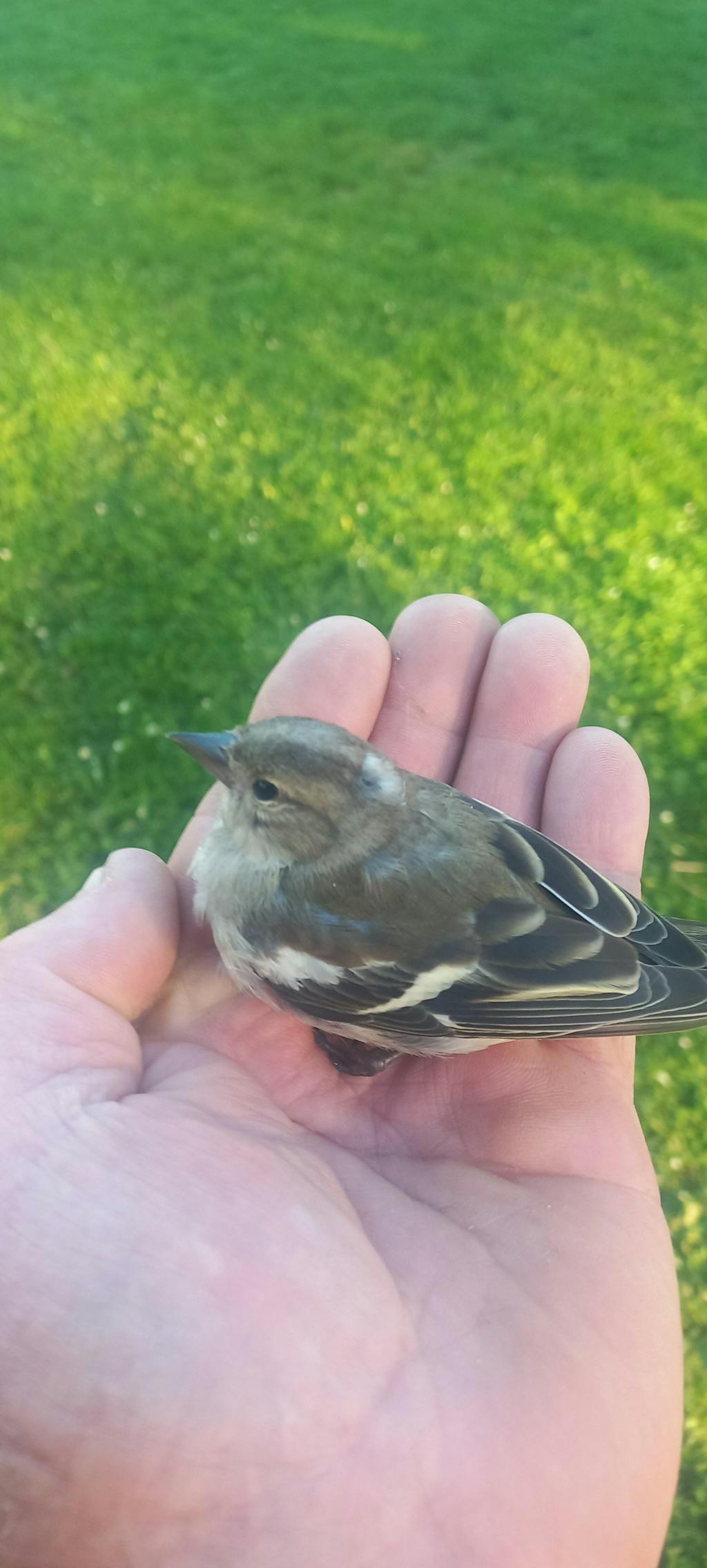 MagnaPix Photo Fridge Magnets (set of 8)