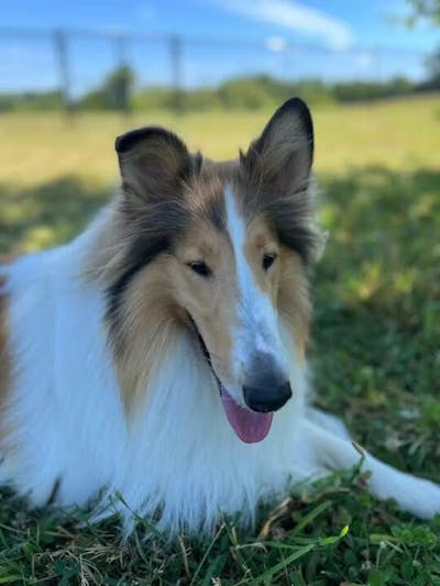 Personalizowane magnesy ze zdjęciami