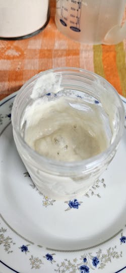 Pâine ca la Bunica - Maia Uscată Naturală Moștenită din 1916