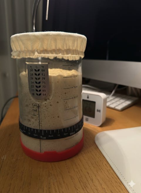 Pâine ca la Bunica - Maia Uscată Naturală Moștenită din 1916