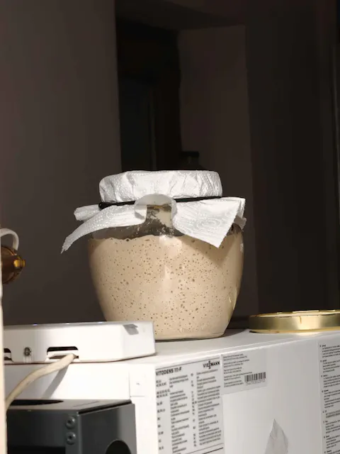 Pâine ca la Bunica - Maia Uscată Naturală Moștenită din 1916