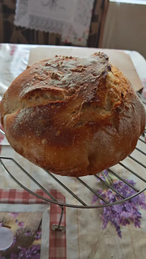 Pâine ca la Bunica - Maia Uscată Naturală Moștenită din 1916