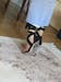 See Thru Clear Heart Heel