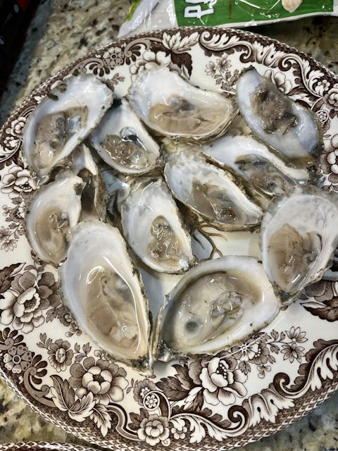 Fresh Maine Damariscotta & Blue Point Oysters