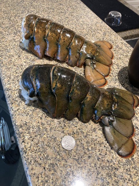 16-20 oz. North Atlantic Lobster Tail