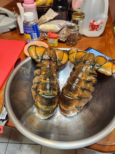20-24 oz. North Atlantic Lobster Tail