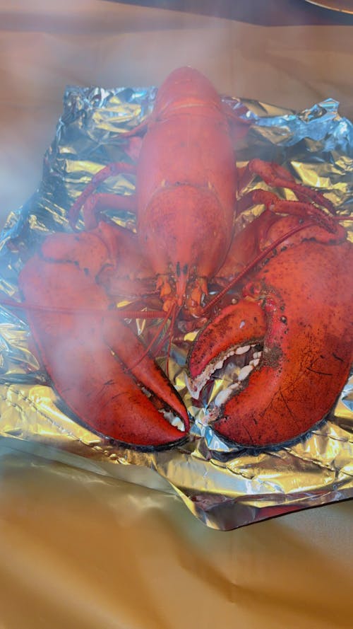 4 lb - 6 lb Live Canadian Lobster