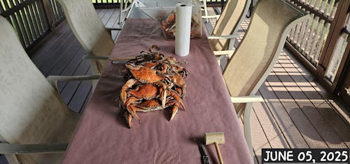 20-24 oz. North Atlantic Lobster Tail