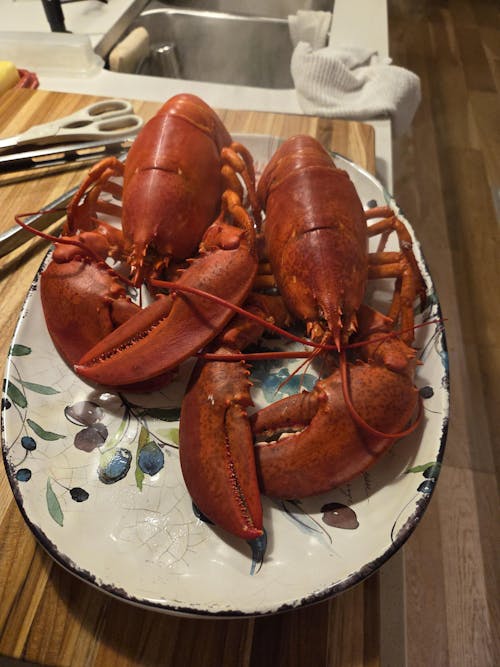 2 lb Live Maine Lobster