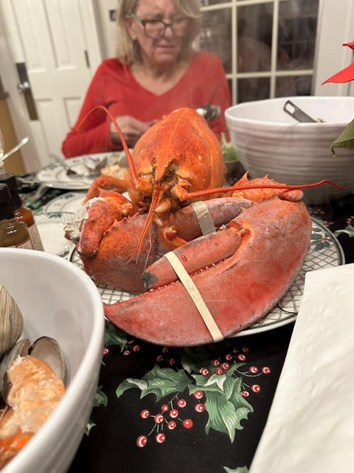 6 lb  - 8 lb Live Canadian Lobster