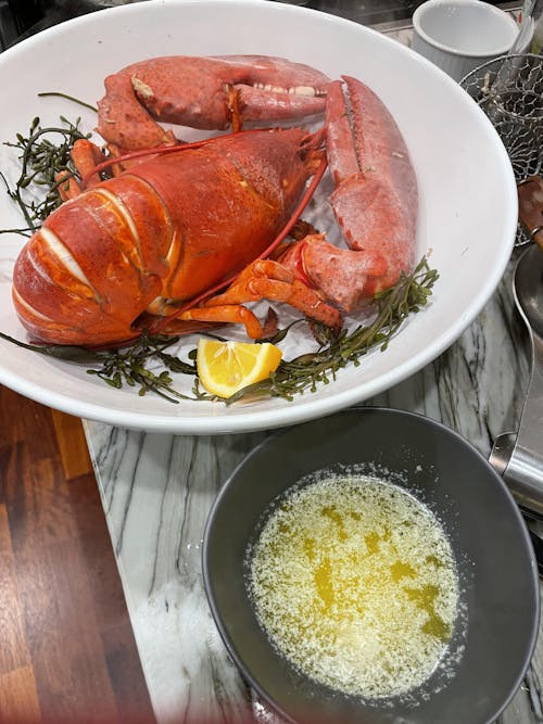 3 lb Live Maine Lobster