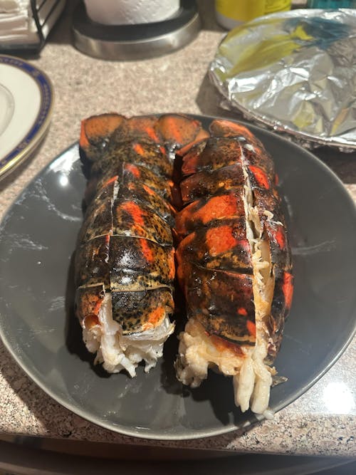 14-16 oz. North Atlantic Lobster Tail