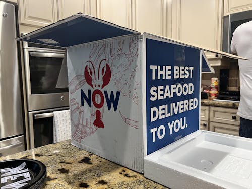 Bulk Pack - 1 lb Live Maine Lobsters