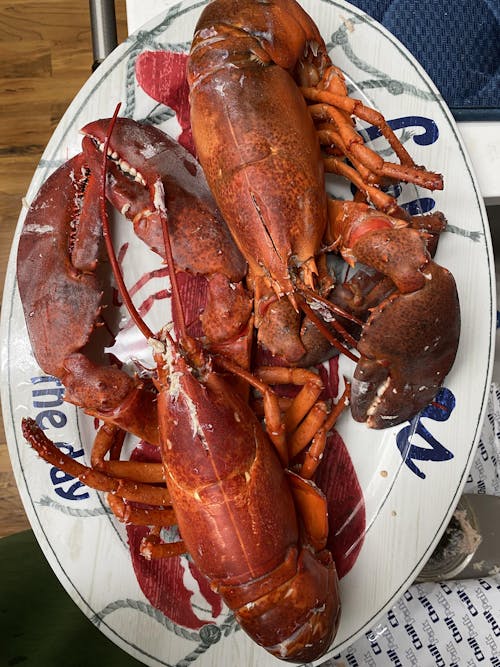 2.5 lb Live Maine Lobster
