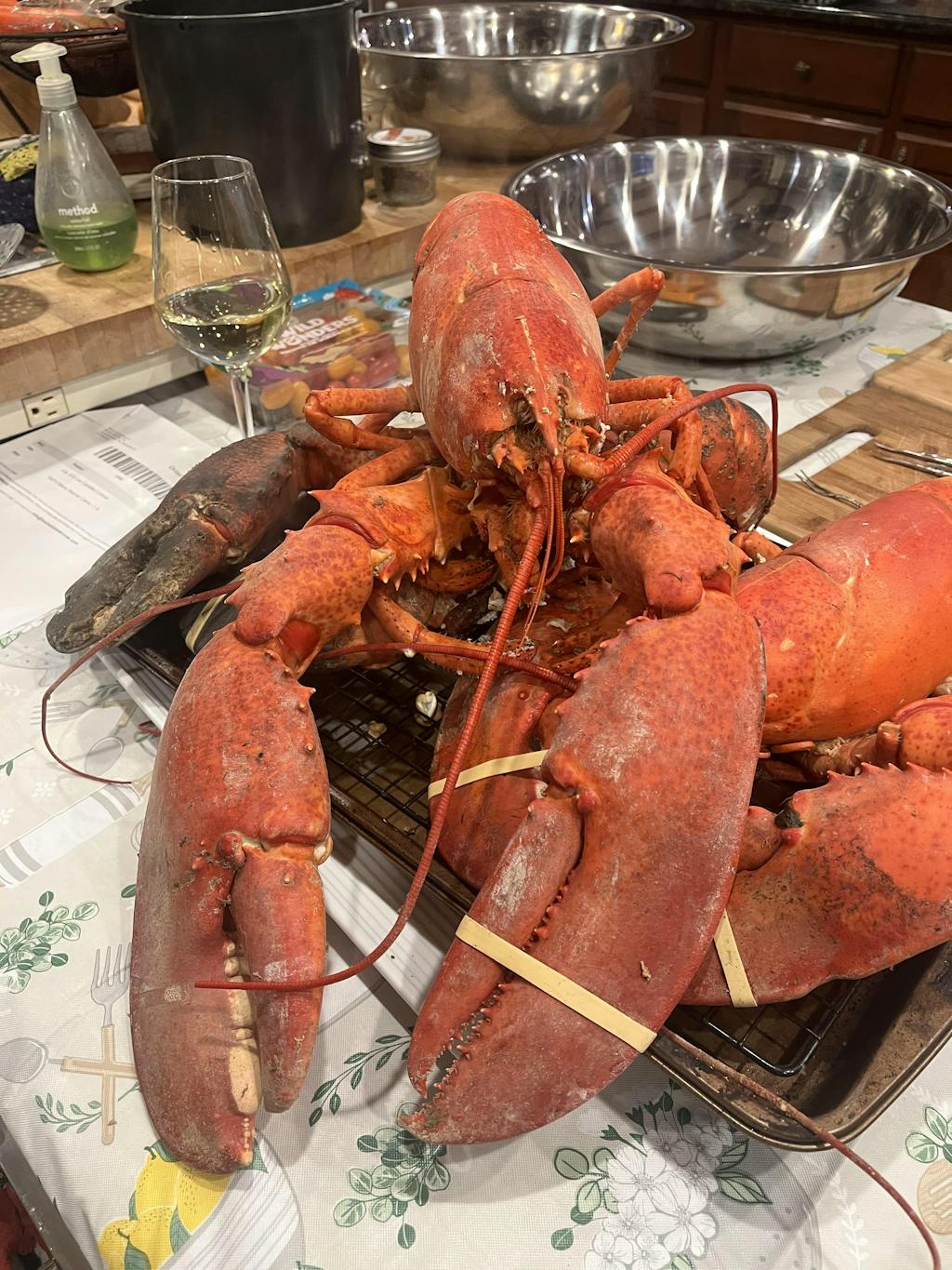 4 lb - 6 lb Live Canadian Lobster