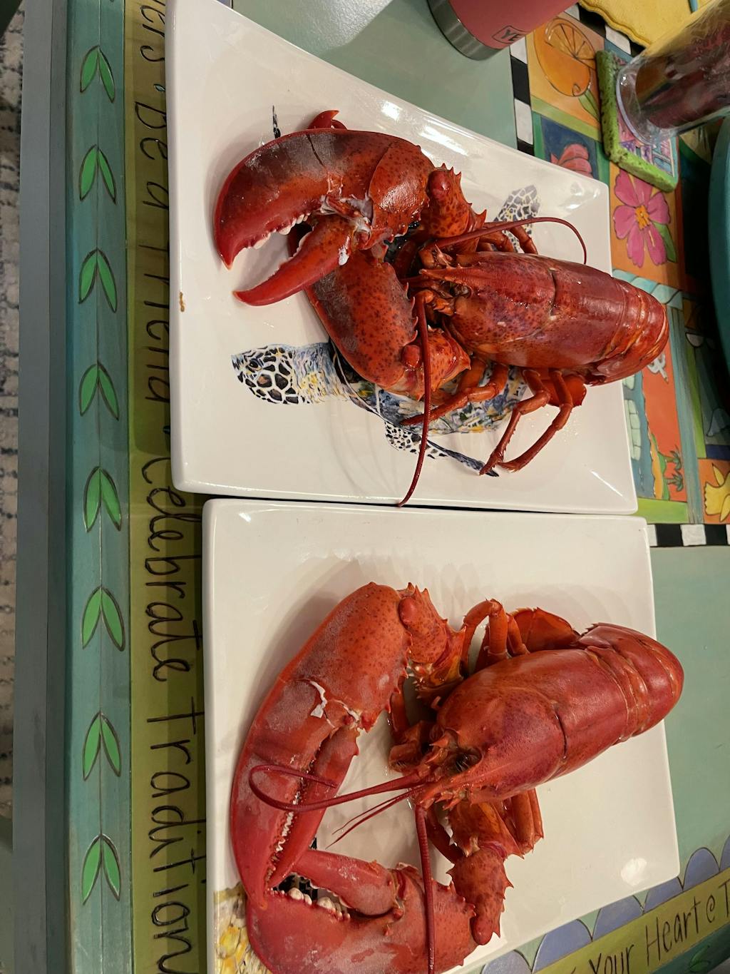 1.5 lb Live Maine Lobster