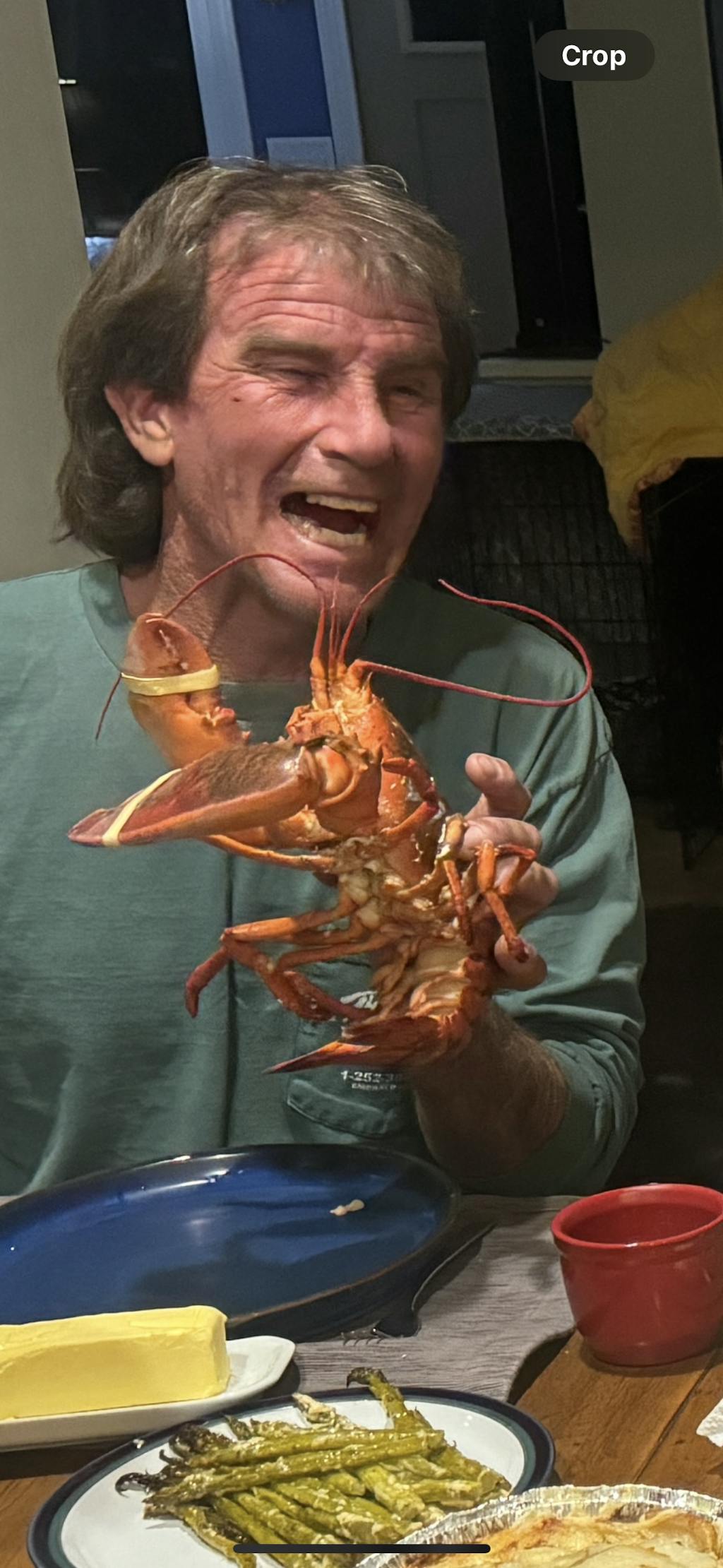 2 lb Live Maine Lobster