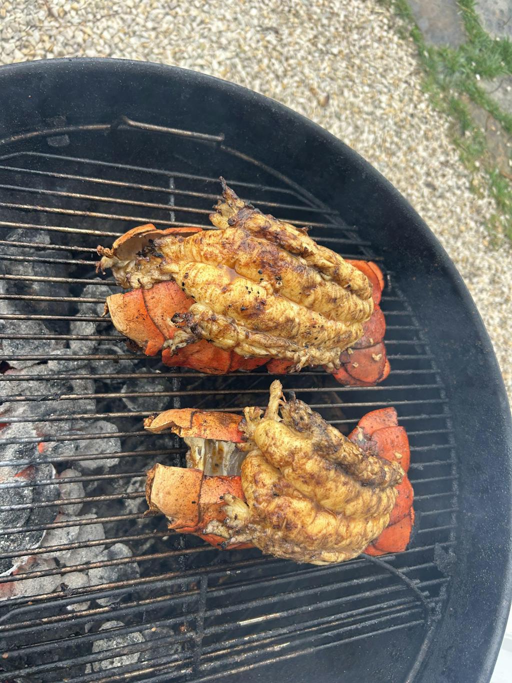 Maine Lobster Now