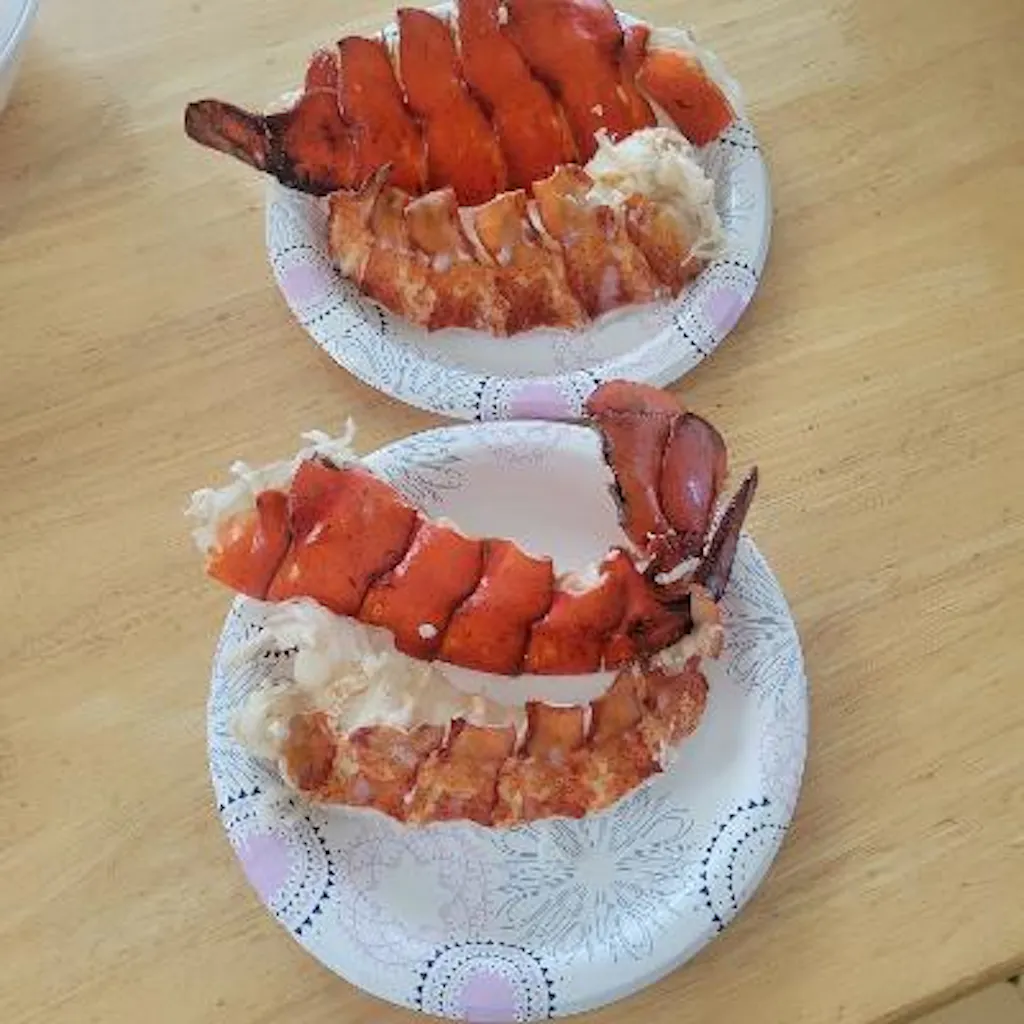 Broken Tail "Culls" Bundle Pack - 3 lbs