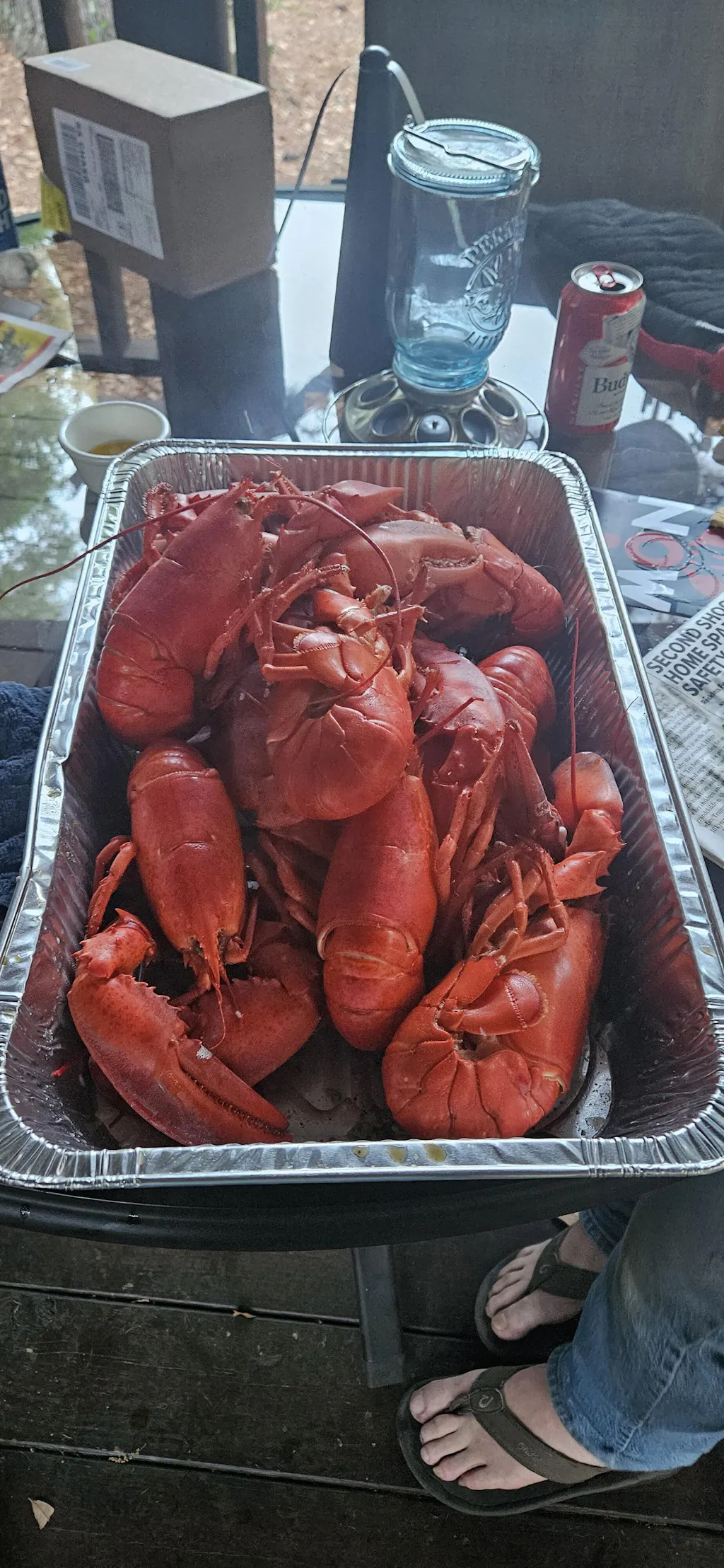Bulk Pack - 1 lb Live Maine Lobsters