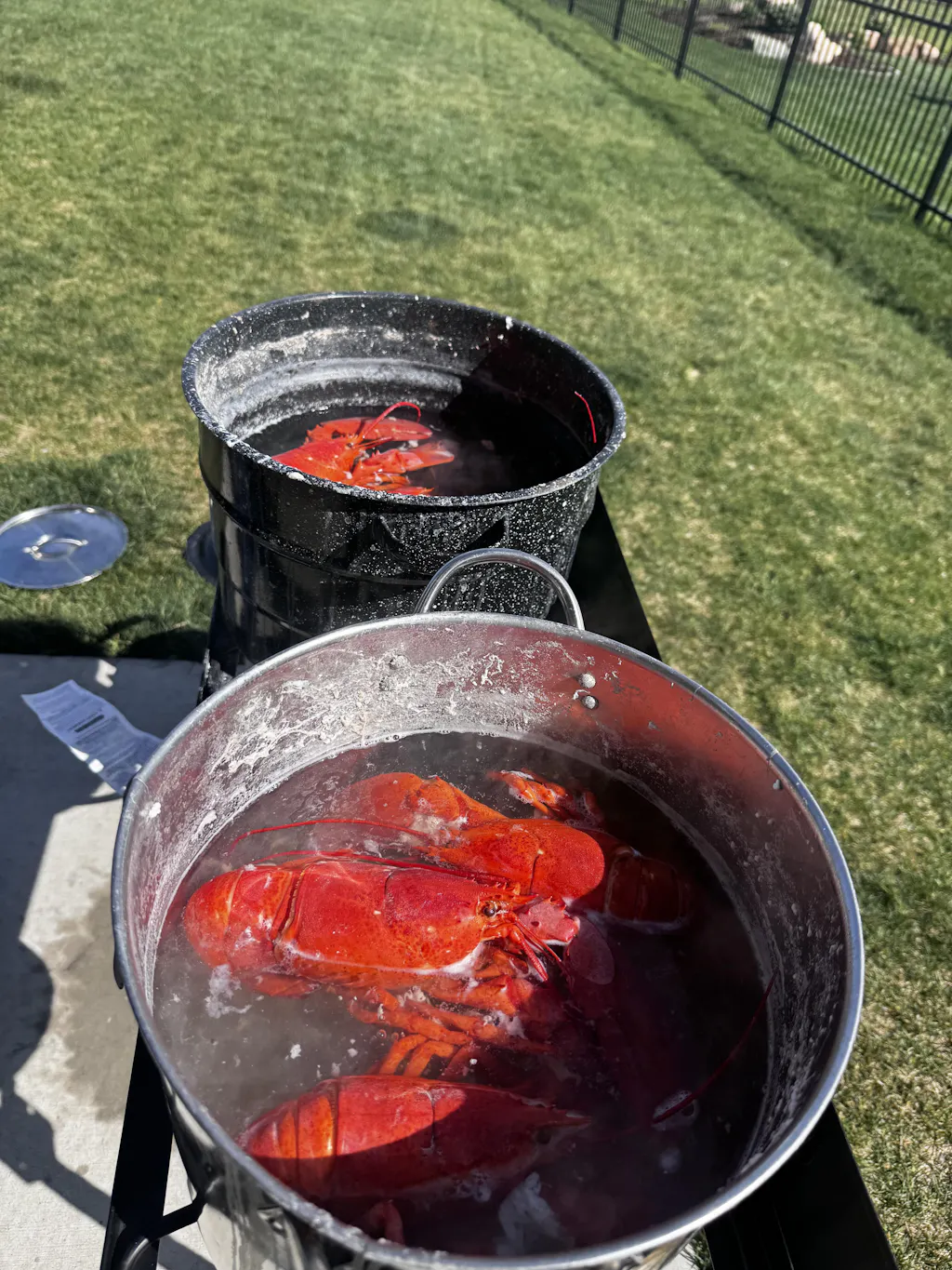 4-5 oz. Maine Lobster Tail x 2