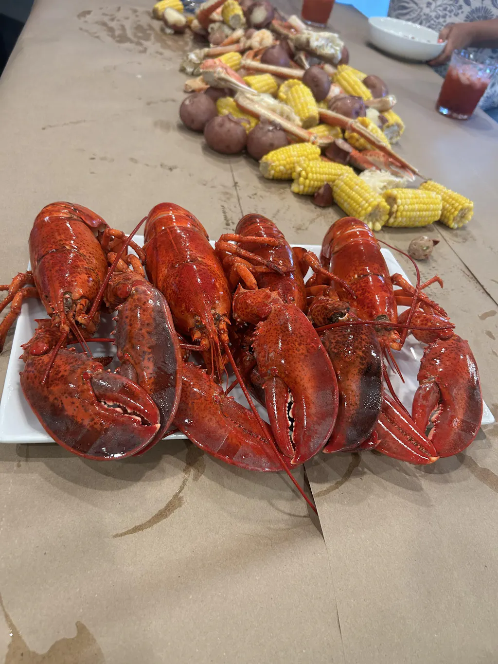 1.25 lb Live Maine Lobster