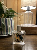 香水(ユニセックス) Maison Matine Into The Wild 50ml Into The Wild – MM_Online USA
