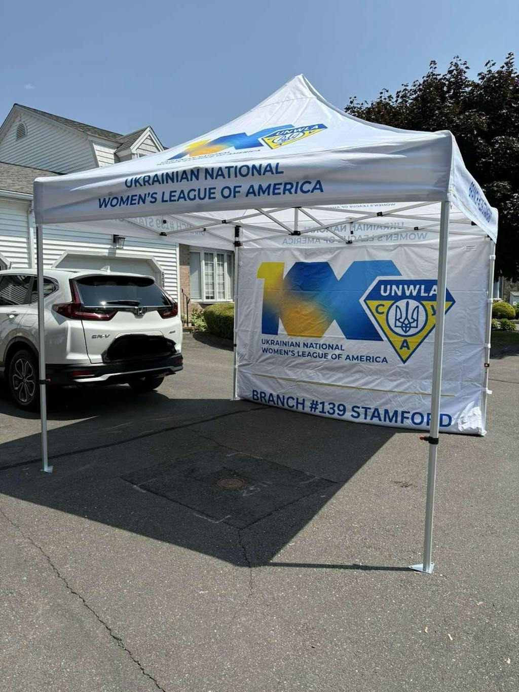 10x10 Custom Canopy Tent Package
