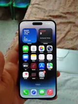 User picture