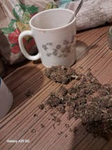 Foto van de gebruiker