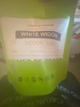 Zdjęcie użytkownika