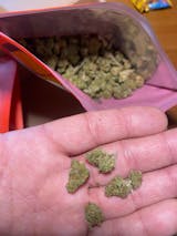 Foto van de gebruiker