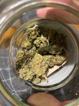 Εικόνα χρήστη