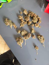 Foto van de gebruiker