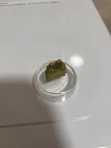 Zdjęcie użytkownika