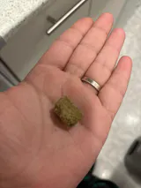 Zdjęcie użytkownika