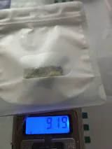 Zdjęcie użytkownika