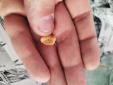 Brugerbillede