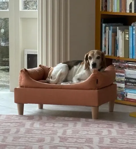 Hondenbed op maat