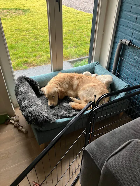 Extra grote hondenbedden